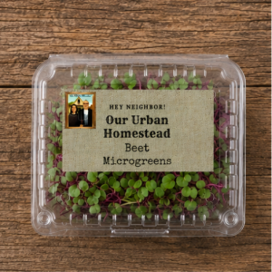 Detroit Dark Red Beet Microgreens