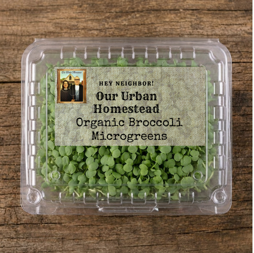 Broccoli Microgreens - Image 2