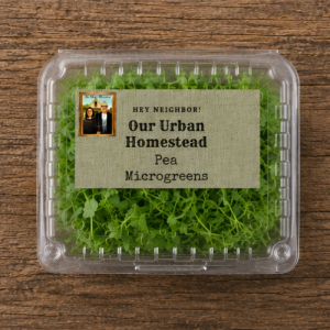 Pea Microgreens